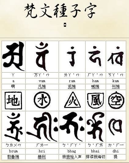 種子字|種子字:解釋,由來,三義,各種來源,